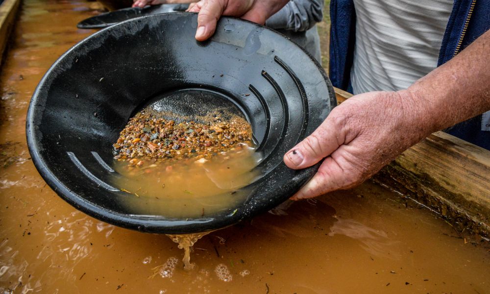 Gold in NC The Allred Family